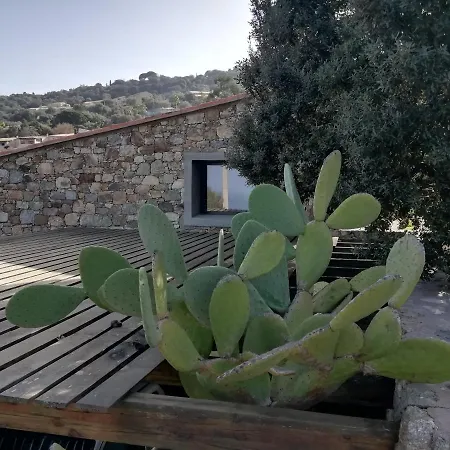 Couette-café Clos Olivella Monticello