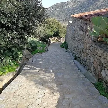 Clos Olivella Monticello