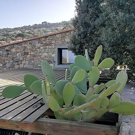 Bed & Breakfast Clos Olivella Monticello