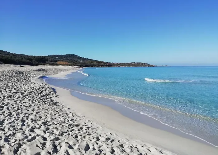 Bed & Breakfast Clos Olivella