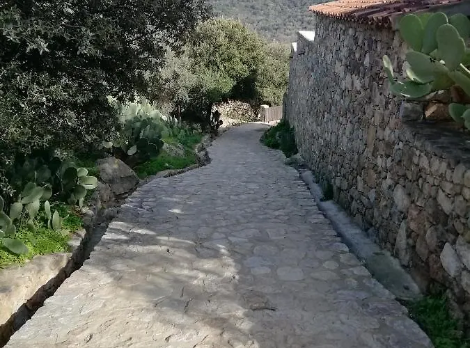 Bed & Breakfast Clos Olivella 3*